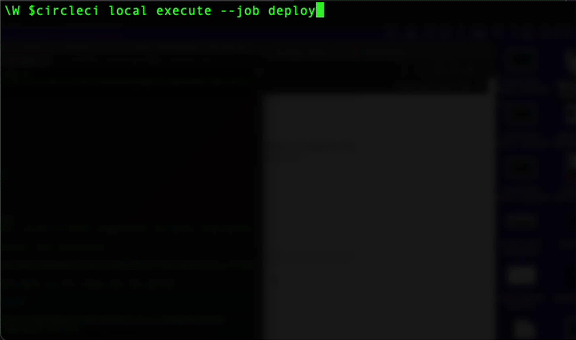 CircleCI CLI running in terminal